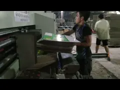 подача посредством цепи 280x680mm роторная умирает считать автомата для резки автоматический video