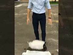 Borse per il ghiaccio di plastica a chiusura lampo del LDPE 1KG 0.035-0.05mm per la consegna conveniente
