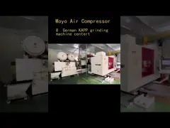 Масло роторов компрессора винта ISO14001 нормальное впрыскивает 10hp-300hp video