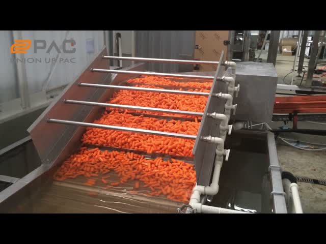 14 small carrots weighed