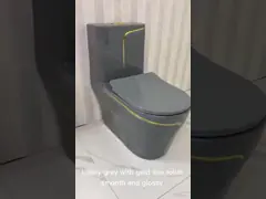 Туалет цельный p изделий кнопки сифона топя санитарный поглощает ловушку s video