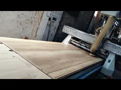 Ранг макулатурного картона E1 неофициальных советников президента 18mm MDF мембраны современная модульная video