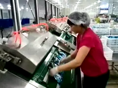 Rolling Type Modified Atmosphere Packaging Machine Continuous