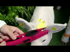 Middle Marked Identification Tpu Visual Ear Tag For Cattle Horse Camel Cow