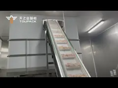 250г Молюска Замороженные морепродукты Сушеные креветки Рыба Паковые машины водонепроницаемые Автоматическое взвешивание video