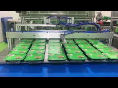 Непрерывный пластиковый уплотнитель жары подноса машины запечатывания подноса еды 3.5KW для супермаркета video