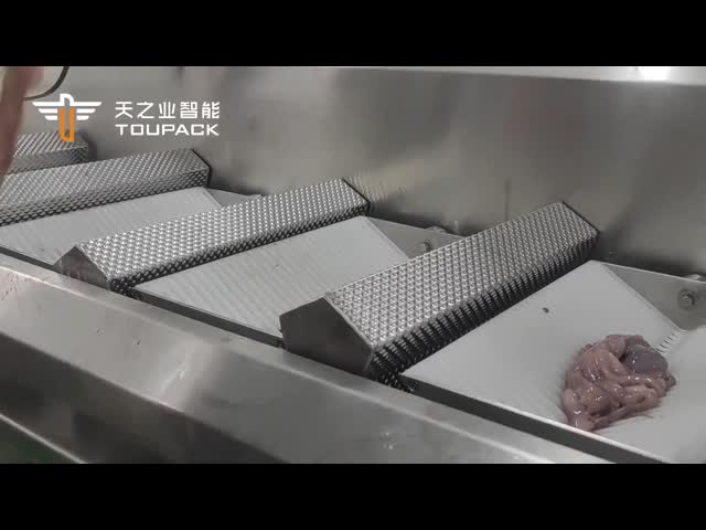 35の袋/分のMultiheadの重量を量る機械タコの新しい魚介類のパッキング