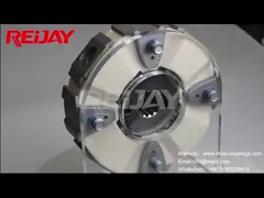 Stainless Steel And Precise Torque Transmission Rubber Coupling For Compressor