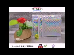 Premiumization Co-Extruded Custom Poly Bubble Mailers/Plastic Bubble Mail Bags/Padded Bubble Mailers