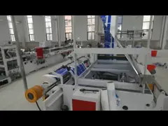 Машина для производства биоразлагаемых сумок для покупок PE PP Hand Bag video