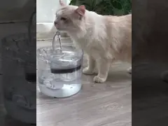 Автоматический распределитель воды кота ПК фильтра циркуляции video