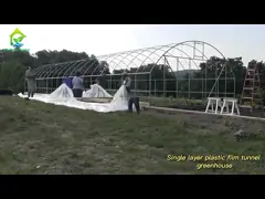 8х30м Томатный политоннельный теплица 150-200микронная пластиковая пленка Томатные теплицы video