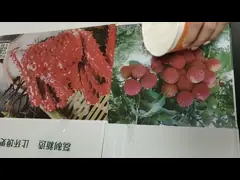 FDA Plastic Corrugated Foldable Boxes Waterproof Abrasion Resistance