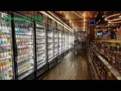 Height Adjustable Commercial Bar Fridge Supermarket Display Freezer Multiple Doors Product Videos,Height Adjustable Commercial Bar Fridge Supermarket Display Freezer Multiple Doors Product Video Channel