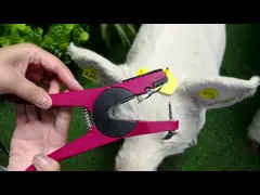 Plastic Cattle Pig Pig Ear Tags Yellow 44*50mm For Vaterinary Equipments