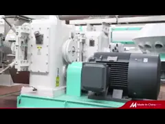 8 - Рыбы 10TPH кормят производственной линии двойной винт небольшая машина лепешки питания рыб video