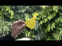 УХФ РФИД 113*75мм желтый маркирует скотин отслеживая дальнее расстояние 8-10м video