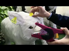 Визуальные квадратные личные знаки поголовья, ухо маркируя в животных 32*32мм video