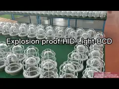 Лампа IP55 взрывозащищенных ламп ATEX жароустойчивая опционная затеняет 220VAC, 50-60Hz video