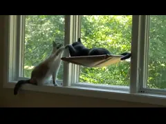 Сбережения космоса гамака окна кота 100% хлопок с чашкой всасывания video