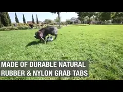 Моляров грызть плюша игрушек любимца Амазонки поставки любимца собаки воспитательных взаимодействующие тренируя video