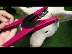 бирки уха свинeй ISO14001 30mm квадратные с пластиковой подсказкой video