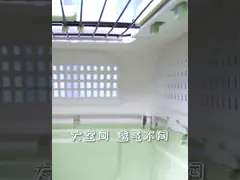 Коробка груза углерода пластмассы 235 PP портативная для любимца video