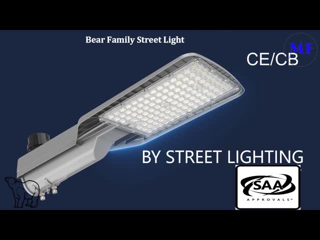 IP66 IK08 Waterproof 165lm/w NEMA Connector LED Street Light LED Roadway Light