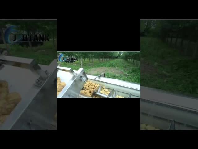 500kg/H Full Automatic Frozen French Fries Production Line Snack Food Making Line