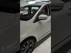 Electric MPV, 7 SEATS MPV,  E-MPV