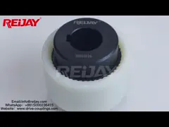 Эпицентр деятельности соединения вала большого нейлона электрического двигателя стальной для различных условий работы video