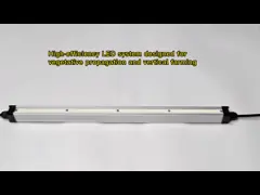 Водоустойчивые приведенные Hydroponic растут света Samsung источник IP65 Microgreen СИД растет света video