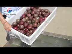 транспортер пояса сети транспортера фрукта и овоща еды транспортера нержавеющей стали 380V 0.375KW поднимаясь поднимаясь video