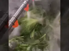 Fish Shrimp Oysters Carrots Vegetables Washing Machine 500kg/H