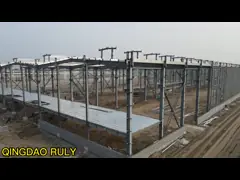 Склад пивоваренного завода из сборных стальных конструкций video