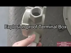 Waterproof WF2 Explosion Proof Junction Boxes Div 1 Class 1 Zone 2 Junction Box