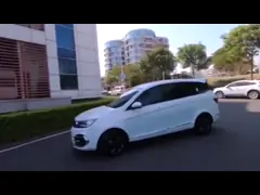 OEM обслуживания автомобиля фур станции пассажира сборочного конвейера 7 электрического автомобиля 120km/h окликая video