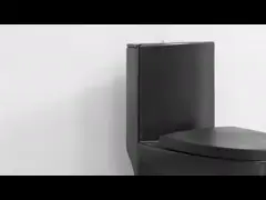 Цельный компактный вытянутый туалет Двойн-притока 28 дюймов video