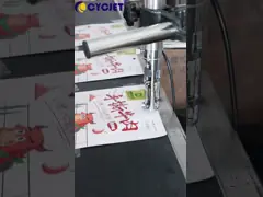 Linhas contínuas industriais impressora a jato de tinta de alta velocidade das impressoras a jato de tinta BH6040 5 de CYCJET