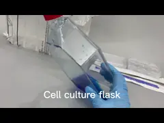 Площадь поверхности склянки клеточной культуры пластика Т75 ² крышки фильтра крышки уплотнения 75 См video