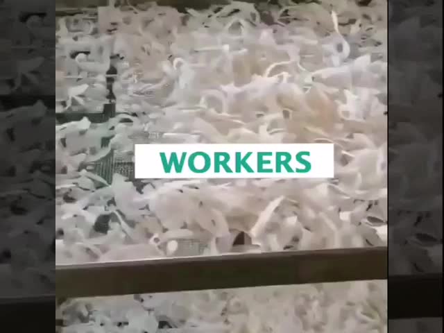 Coconut Chips Copra Dryer