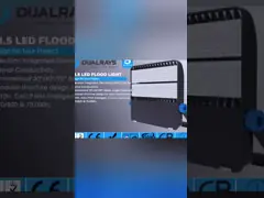 лет приведенные гарантии светов потока черноты 300W расквартировывая промышленные энергосберегающие 5 video