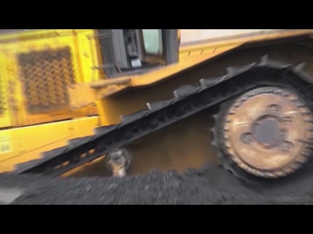 SG Track Shoe Plate D7H Excavator Track Pad Track Plates