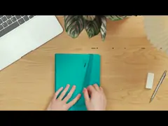 Бумажное расписание цвета слоновой кости большого академичного плановика 100GSM еженедельное ежедневное video