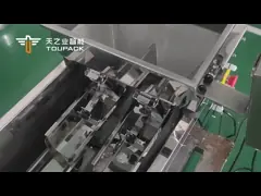 Toupack Small Weight Linear Weigher Ss 304 Ty-X1m2l05 For Grains