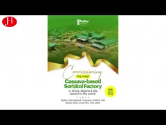 Нержавеющий разделитель тонкого волокна завода кукурузного крахмала делая производственную линию video