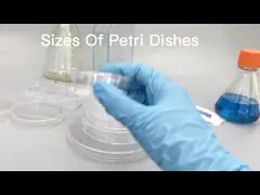 чашки Петри бактериальной клеточной культуры 70мм пластиковые с тарелками культуры крышек video