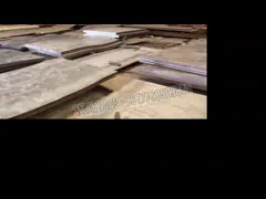 Ссадина 200mm EN10025 стальной пластины карбида JIS хромия износоустойчивая video