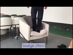 Стул софы Seater гостиной стула софы лобби гостиницы одиночный для комнаты прожития video