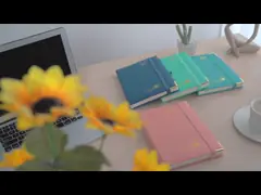 2023-2023 Academic Planner Pink Vertical Page Layout With Quick Serach Functions video